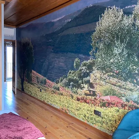 Casa D'os Casaroes Сasa de vacaciones Vilarinho de Cotas