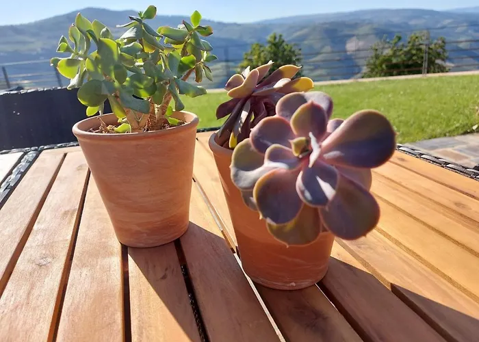 Casa D'os Casaroes * Vilarinho de Cotas